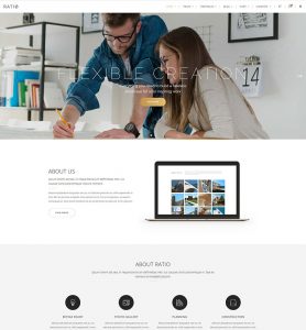 品牌官網建設案例
